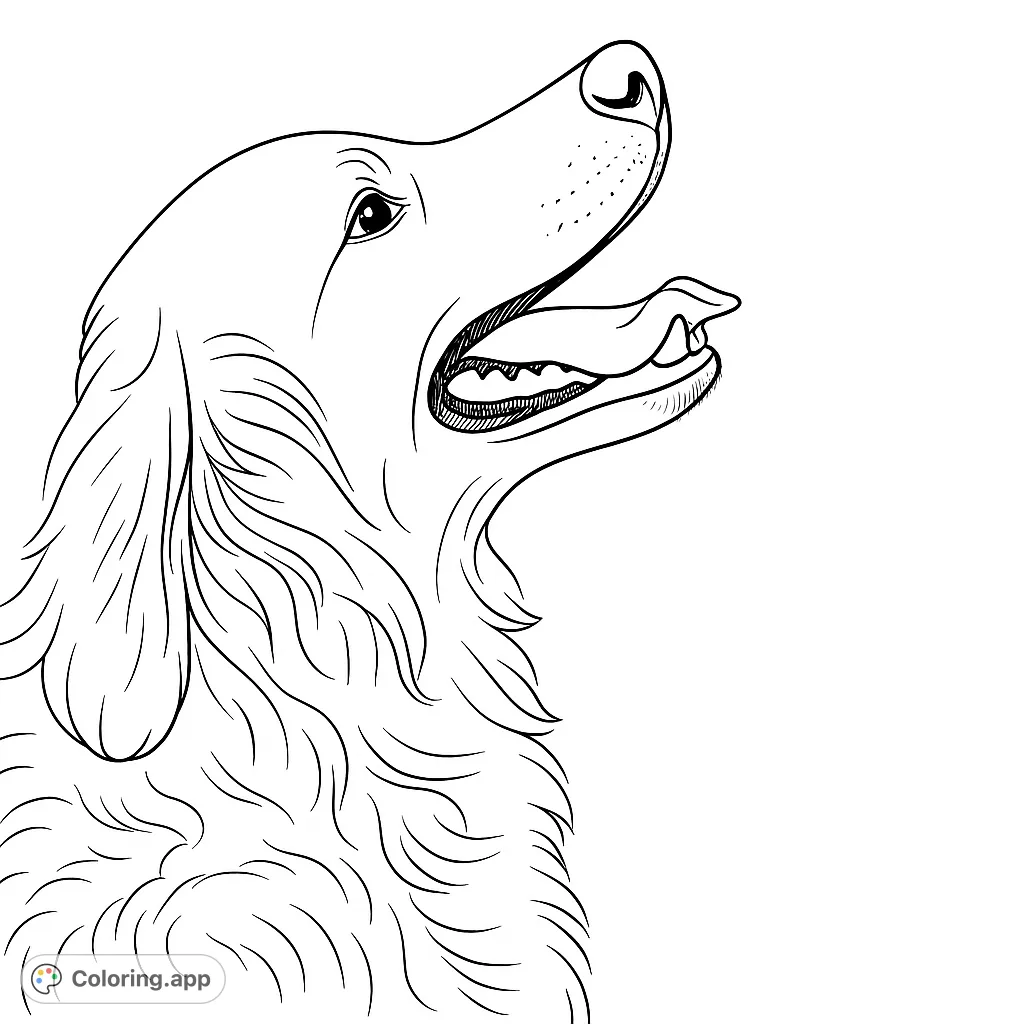 A charming dog coloring page featuring a happy canine looking up with an open mouth and detailed fur, perfect for all ages. Free printable coloring page.
