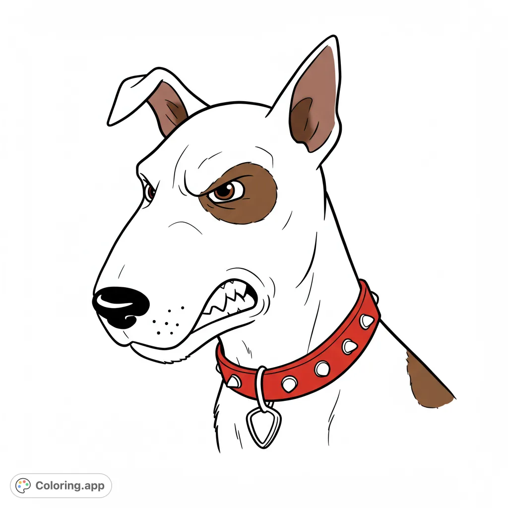 An intense bull terrier coloring page with a snarling expression and spiked collar. Free printable coloring page for kids and adults.