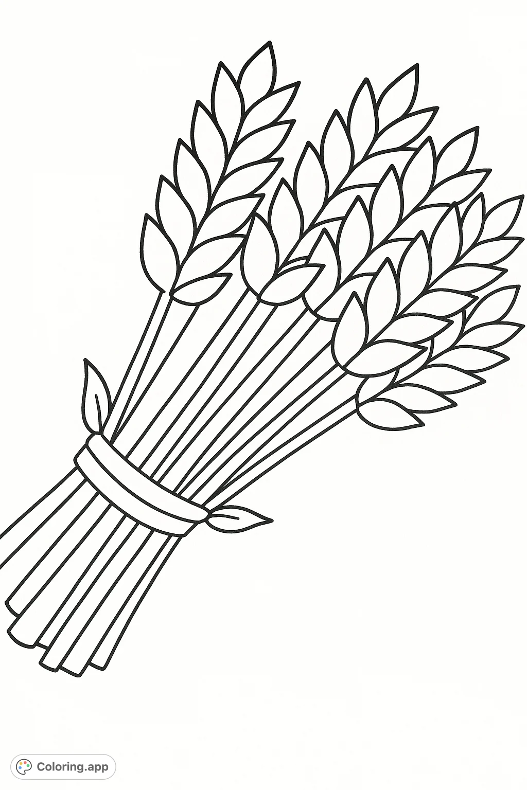 Discover the simple beauty of a tied bundle of wheat stalks. This easy coloring page is perfect for all ages, celebrating nature's bounty and harvest themes.