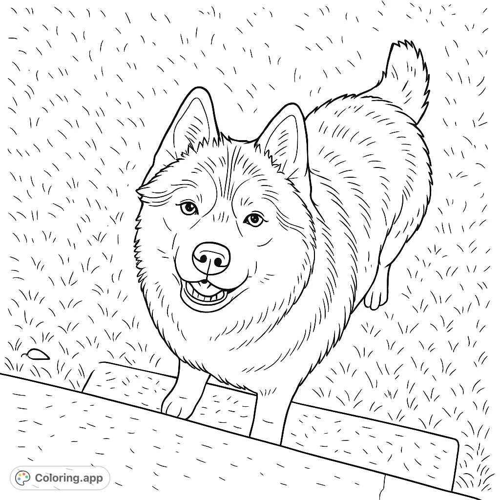 A charming fluffy dog with a happy smile, standing on a low ledge amidst a grassy field. Perfect for dog lovers!