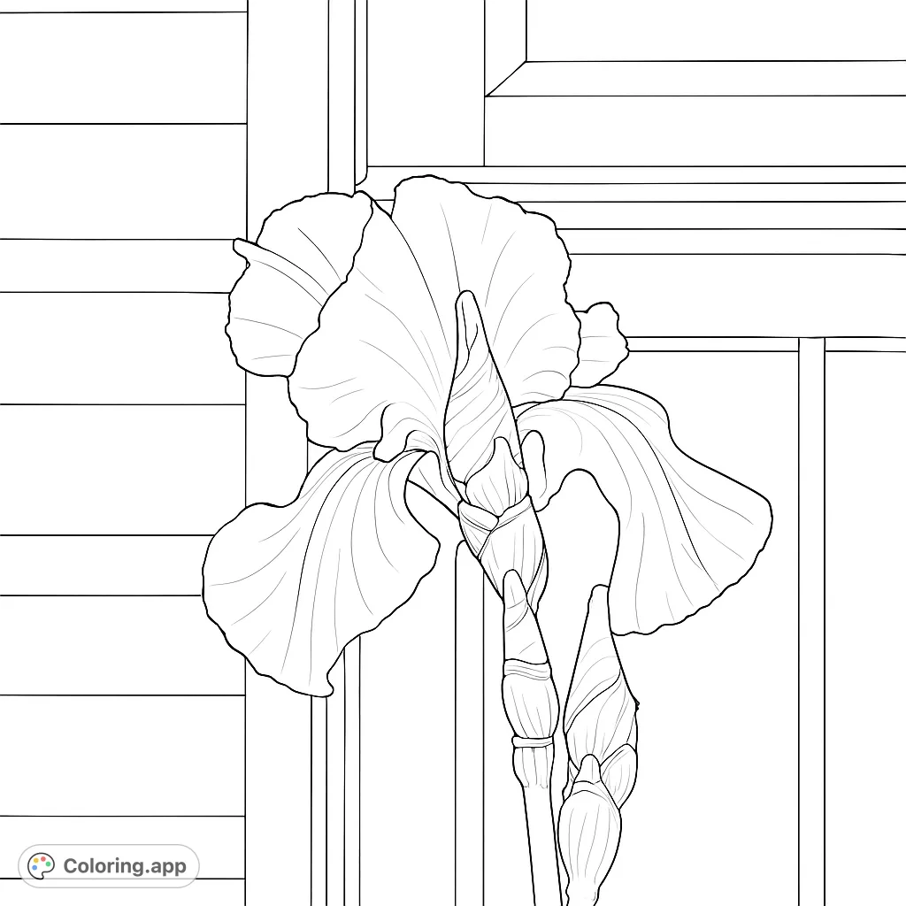 A beautiful iris flower in full bloom with buds, set against a geometric background. A free printable flower coloring page for all ages.