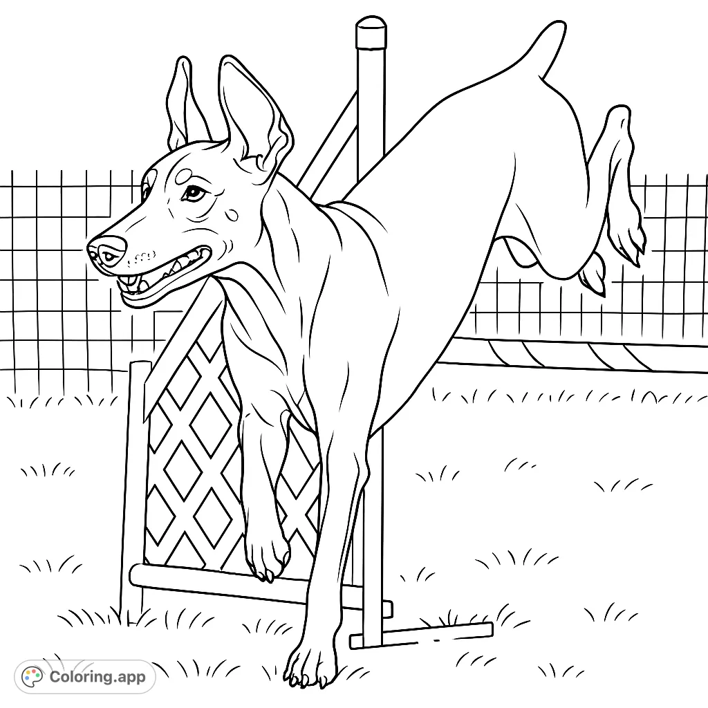A powerful Doberman dog mid-jump over an agility hurdle, captured in a dynamic pose. Perfect for dog lovers and sports enthusiasts.