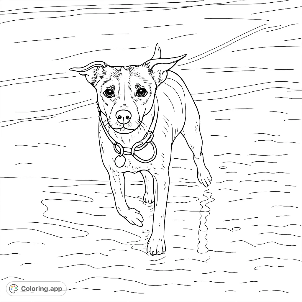 A lively dog joyfully runs on a wet beach, splashing through shallow waves. Perfect for a fun, free printable dog coloring page for kids and adults.