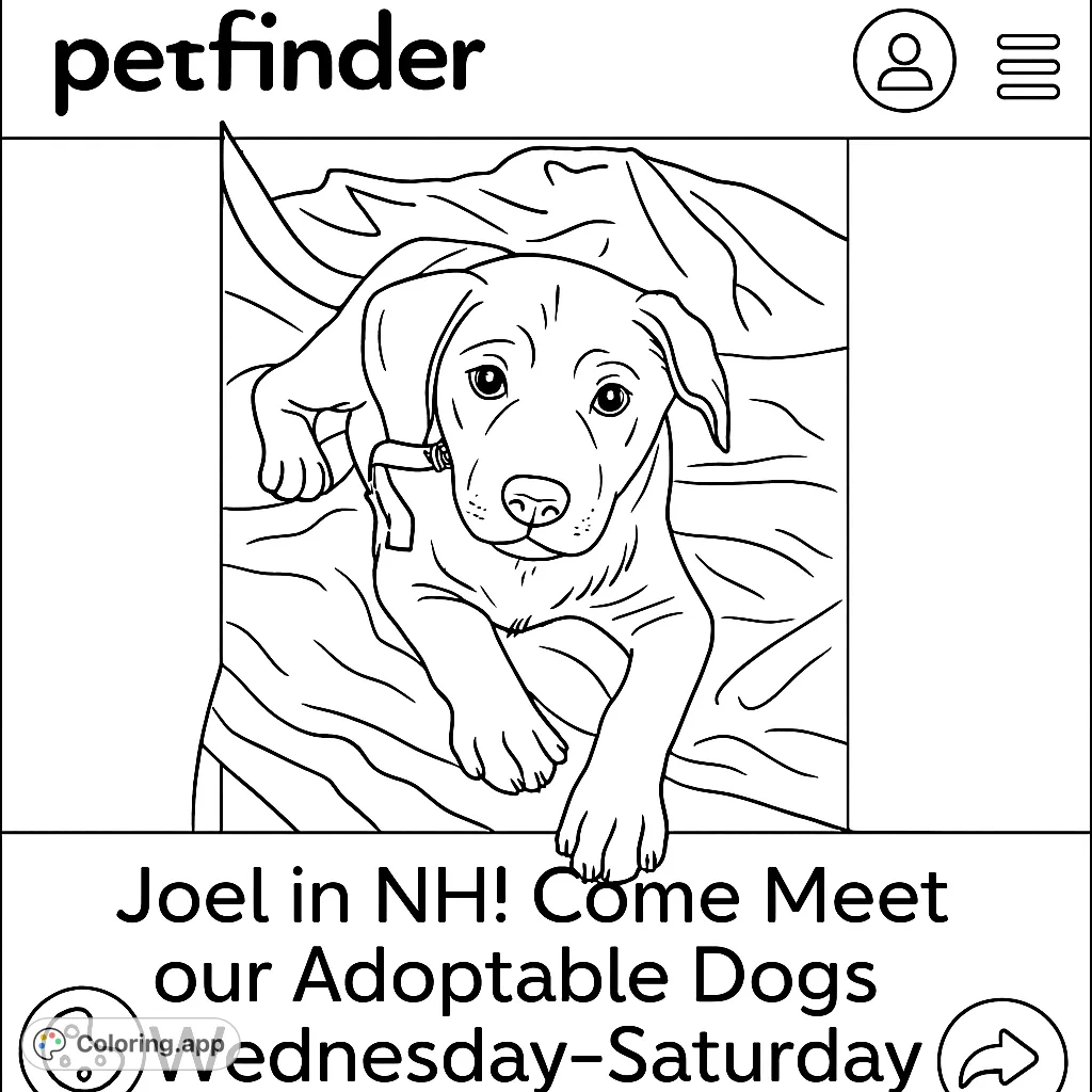 An adorable puppy rests on a crumpled blanket, ready for you to bring it to life with vibrant colors. A charming and cute animal coloring page.