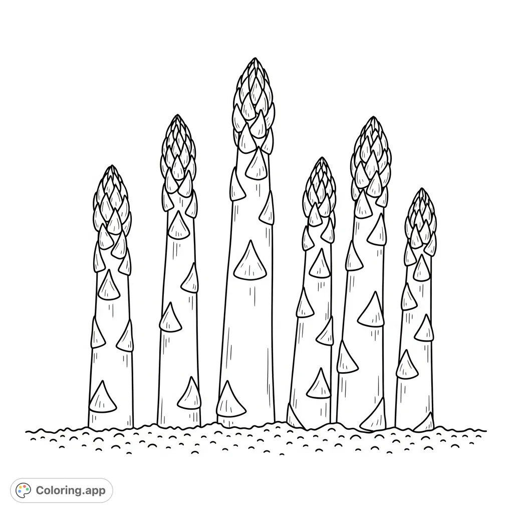 A low-angle view of upright asparagus spears with pointed, scale-like tips and ridged stalks, standing in a natural garden setting, perfect for coloring.