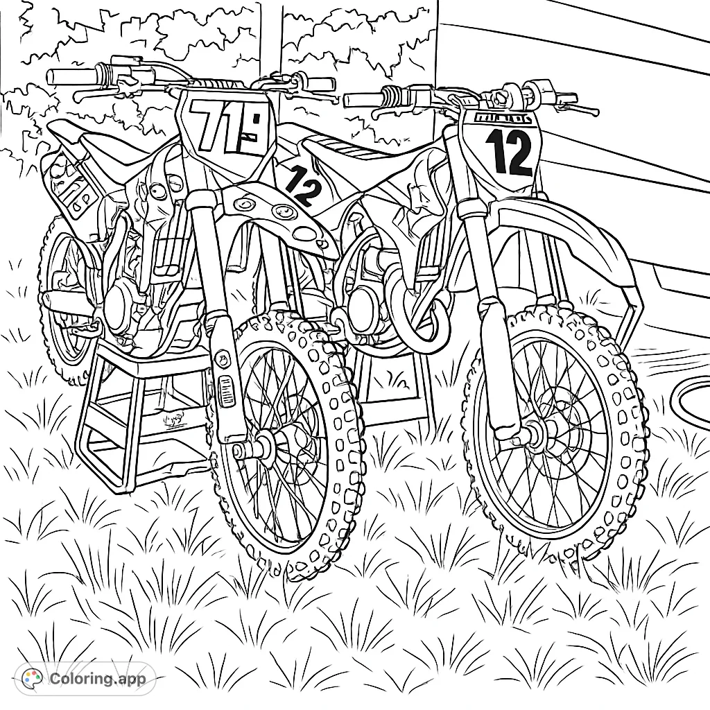 Unleash your creativity with this detailed motocross dirt bike coloring page. Features two high-performance bikes ready for action on a grassy track.