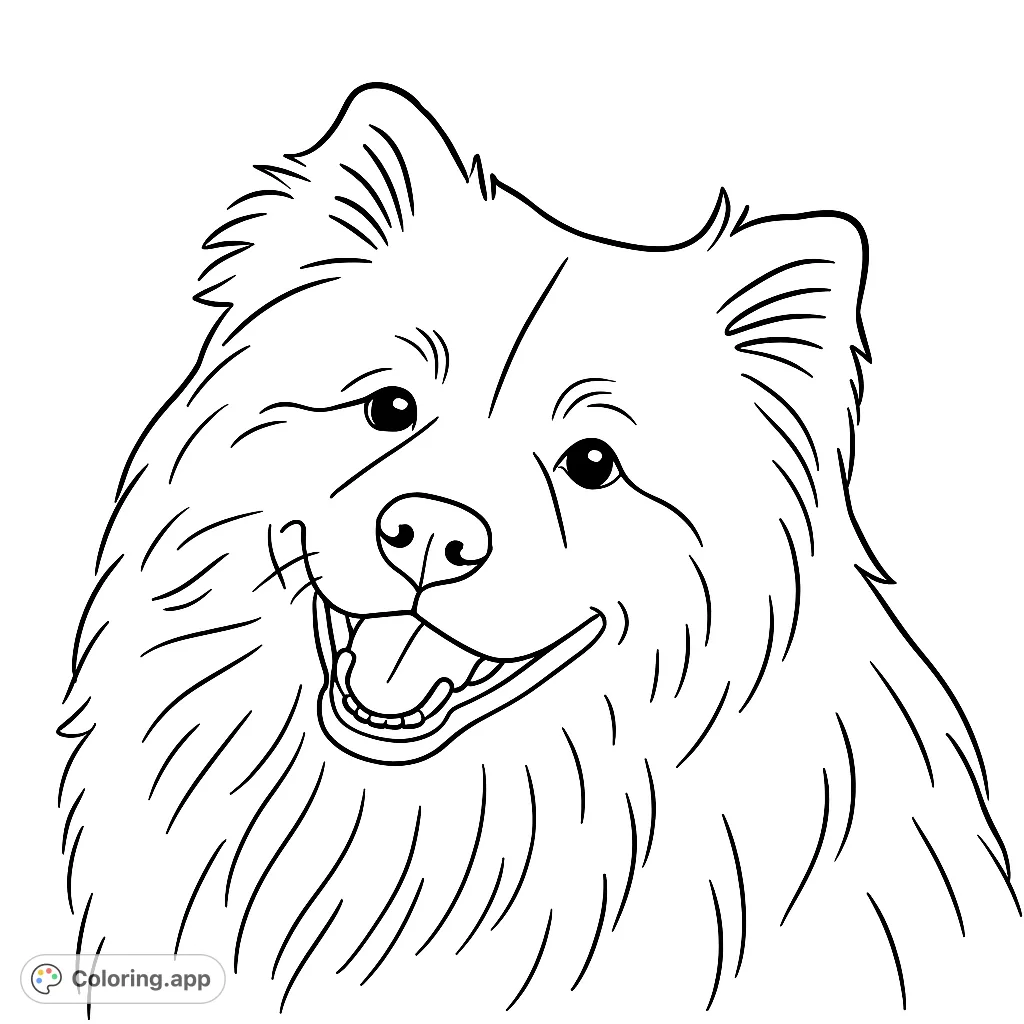Color this adorable fluffy dog with a joyful expression. A perfect free printable dog coloring page for kids to enjoy creative relaxation.