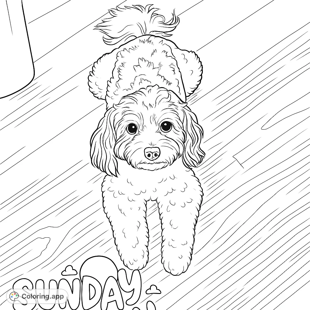 An adorable fluffy dog resting on a wooden floor, ready for you to bring to life with your favorite colors. Perfect for dog lovers!