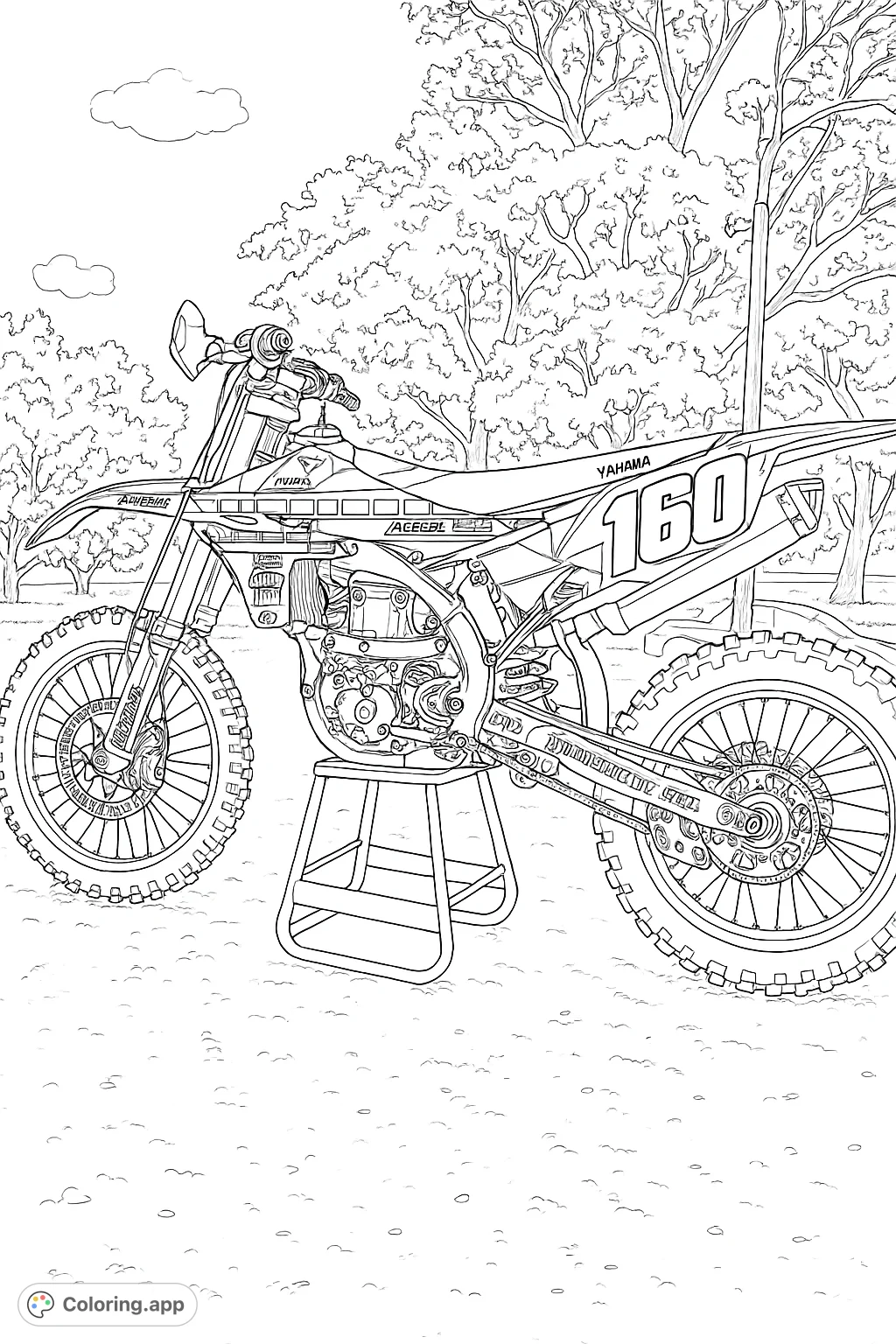 Color a detailed dirt bike with intricate engine parts, knobby tires, and custom decals, set against a backdrop of trees and a gravel path.
