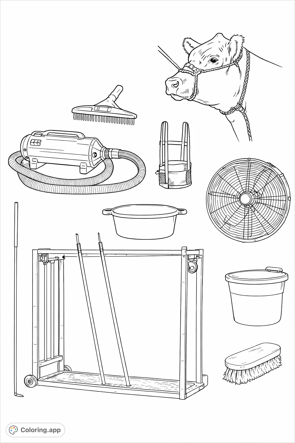 Explore a detailed collection of cattle show grooming essentials, featuring a bovine animal, specialized tools, and equipment for preparing livestock.