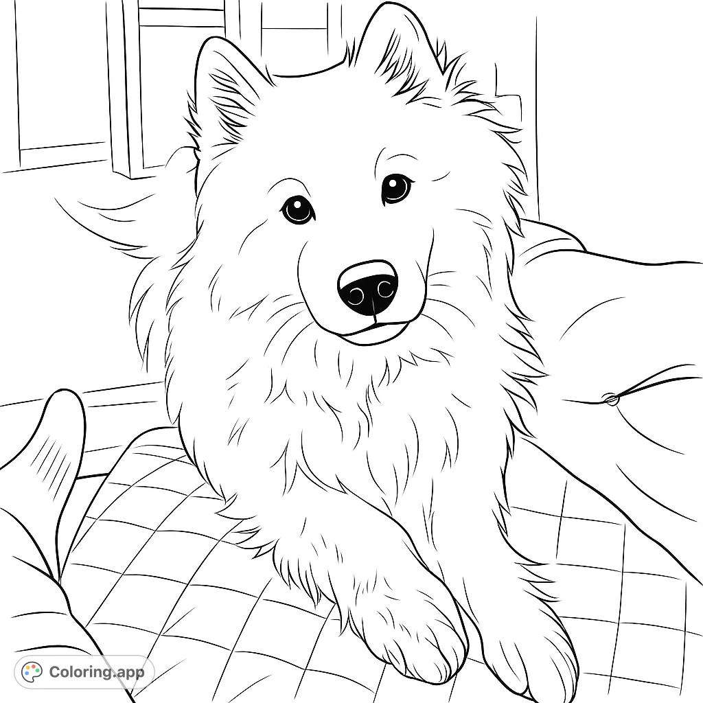 A charming Samoyed dog with fluffy fur and an attentive gaze, resting on a quilted blanket. Perfect for dog lovers and aspiring artists!