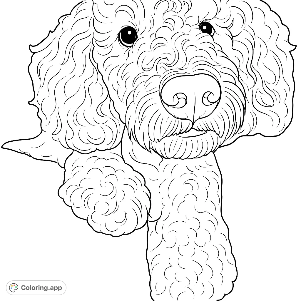 An adorable curly-haired dog portrait, perfect for animal lovers. Features intricate fur texture and expressive eyes, offering a delightful coloring experience.