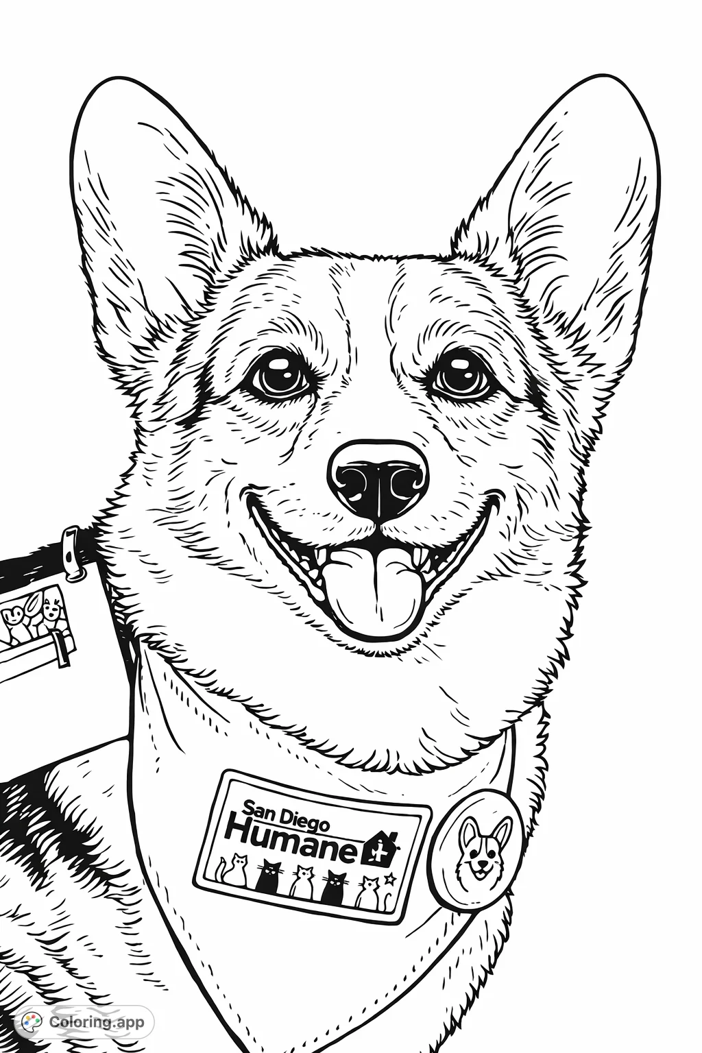 A delightful close-up of a smiling Corgi wearing a bandana and pins, ready to bring joy. Perfect for dog lovers to color and personalize.