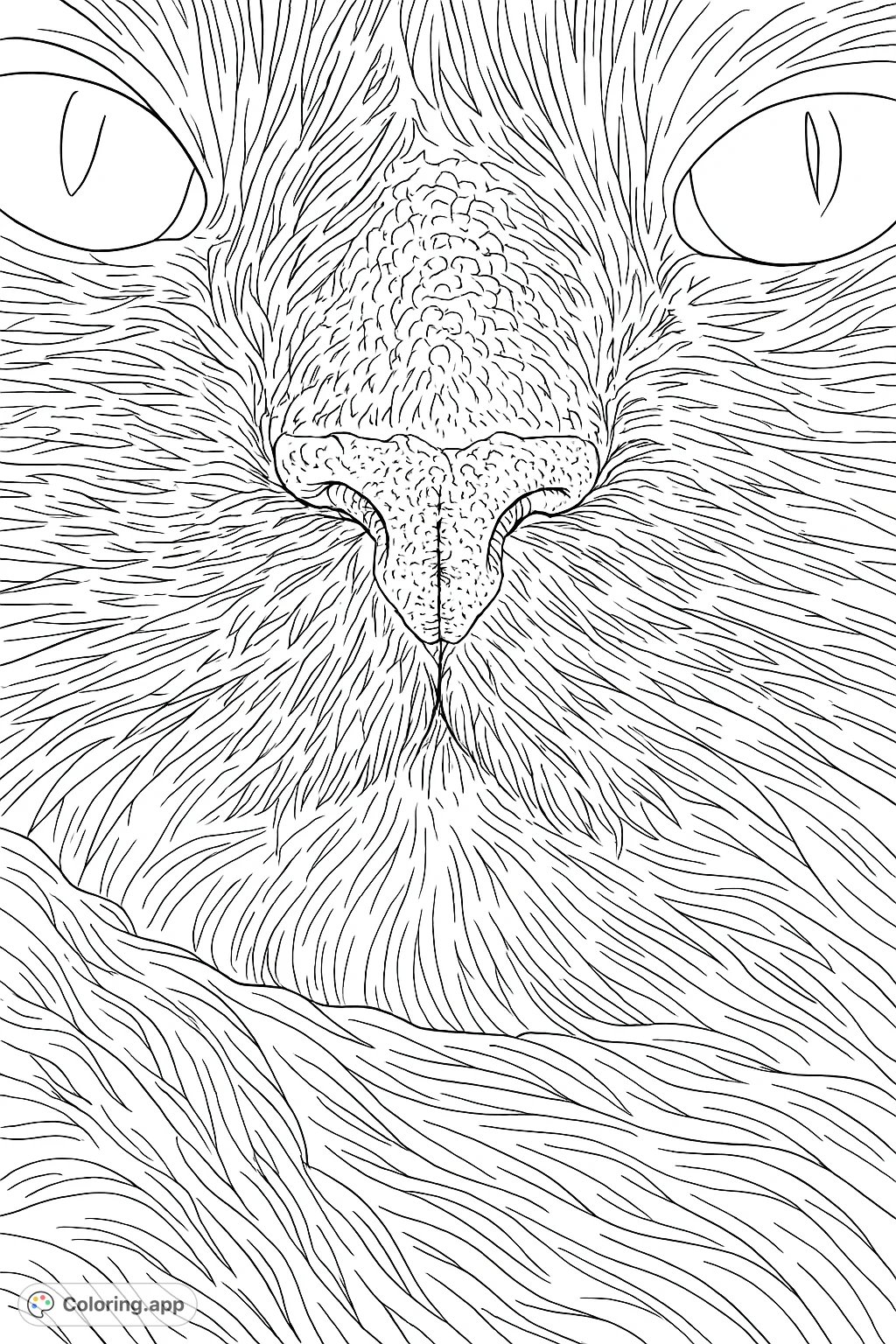 A detailed close-up of a cat's face, featuring intricate fur patterns, a textured nose, and expressive eyes. Perfect for advanced colorists.