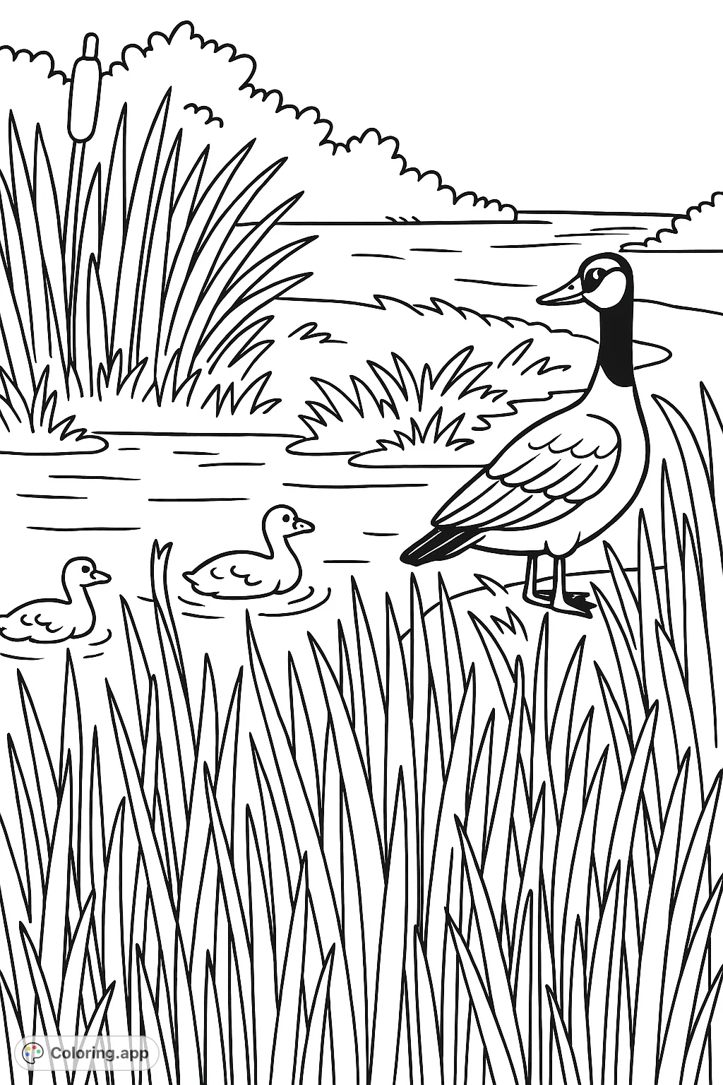 A charming nature scene featuring a large goose on the bank and two goslings swimming in a pond, surrounded by tall reeds. A delightful animal coloring page.