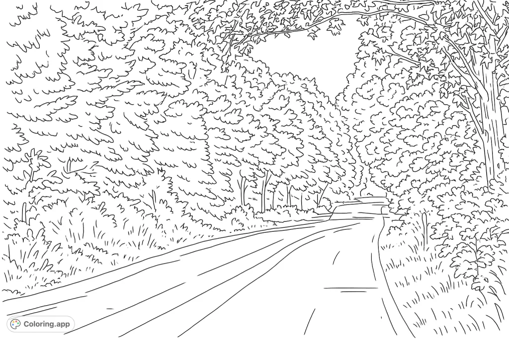 A serene winding road through a dense forest canopy, inviting a peaceful journey. Perfect for nature lovers and those seeking a tranquil escape.