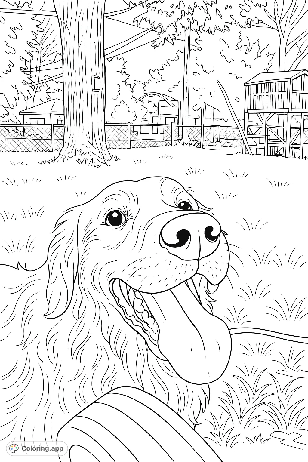 A cheerful dog with its tongue out, enjoying a sunny day in the backyard. Features a playful pup, grassy lawn, and a fun play structure.