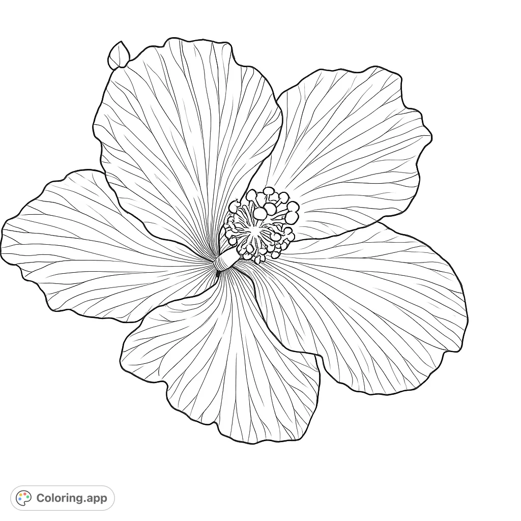 A beautiful hibiscus flower with intricate petals and a prominent stamen, perfect for a relaxing botanical coloring experience.
