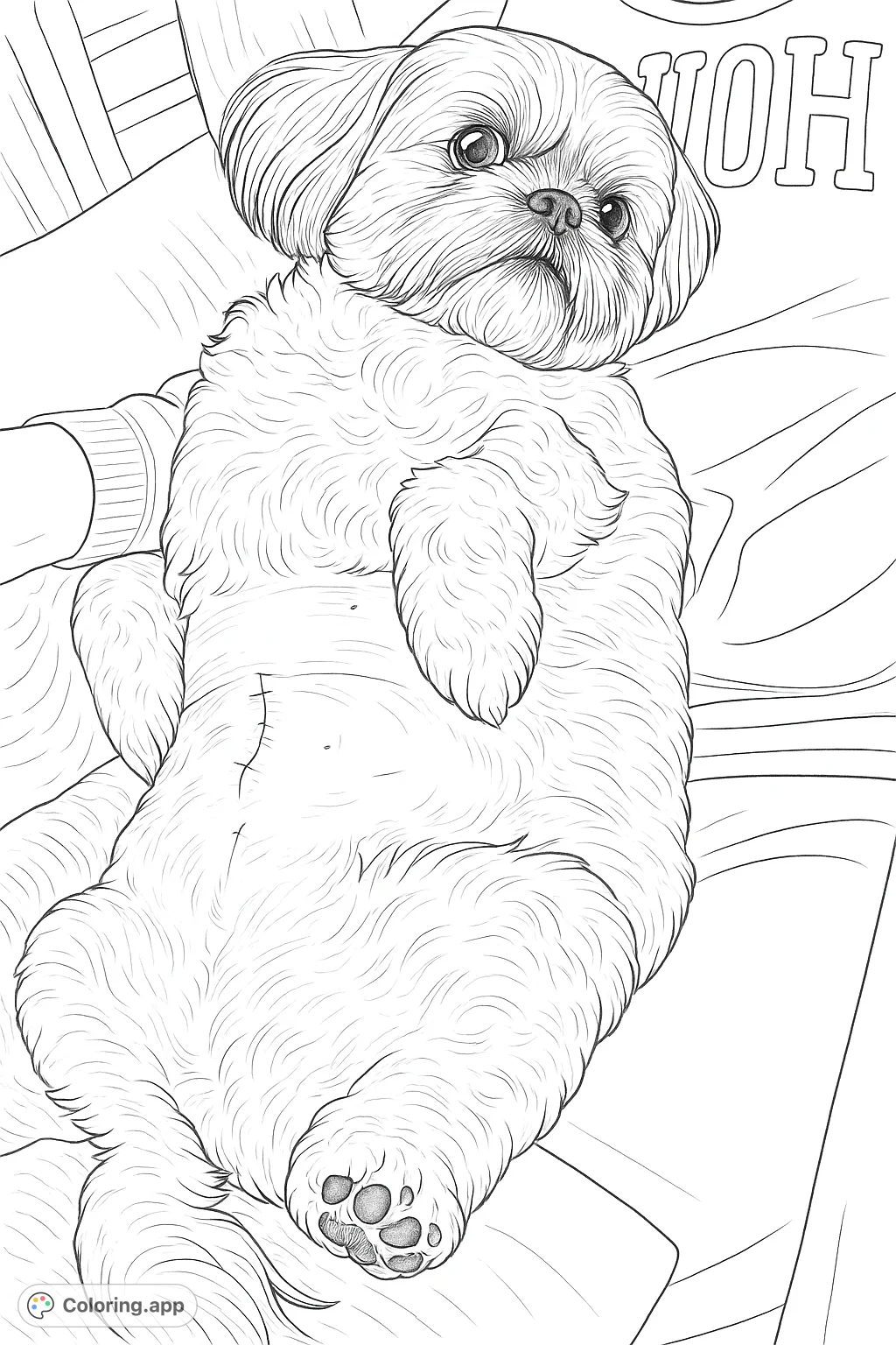 A sweet dog rests on its back, revealing a shaved belly with stitches. This realistic dog coloring page offers a touching scene for animal lovers.