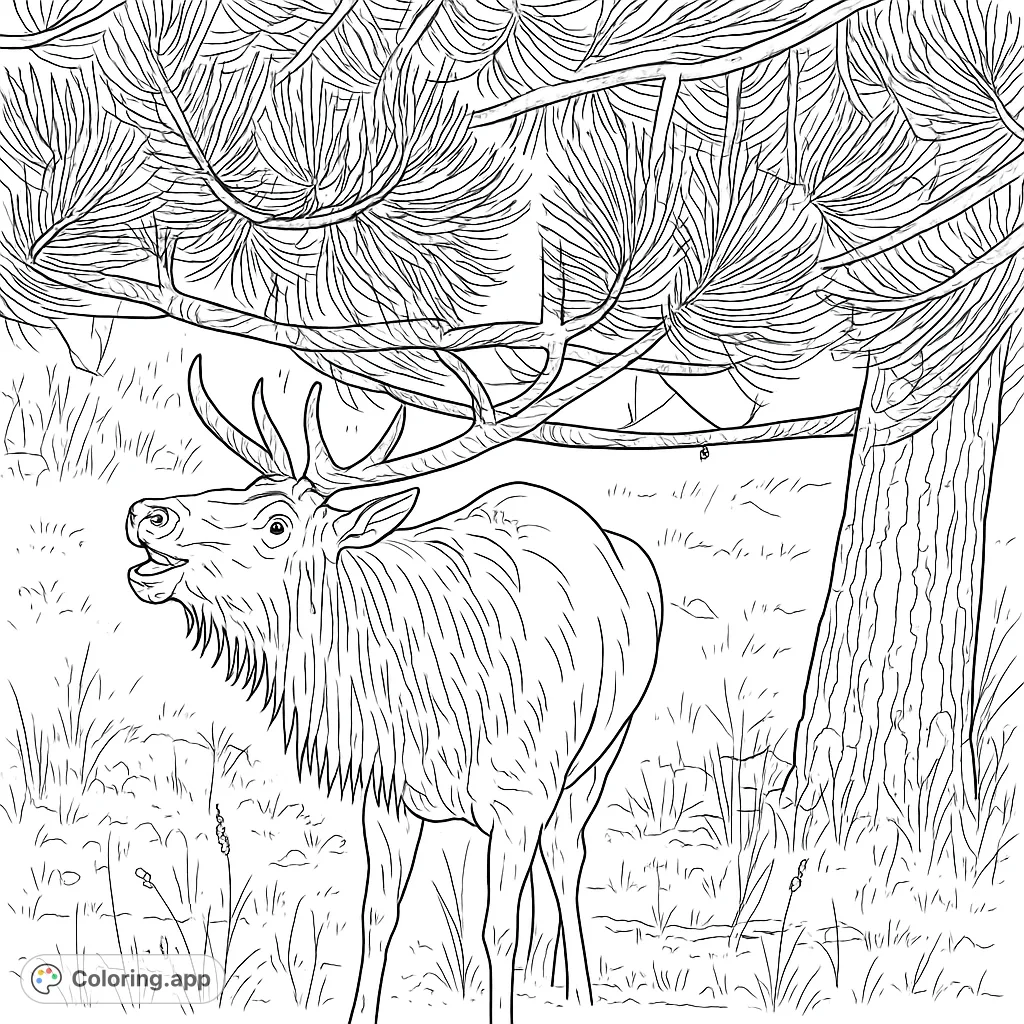 A powerful elk with impressive antlers stands beneath a pine tree, calling out in a wild landscape. A detailed nature scene for all ages.