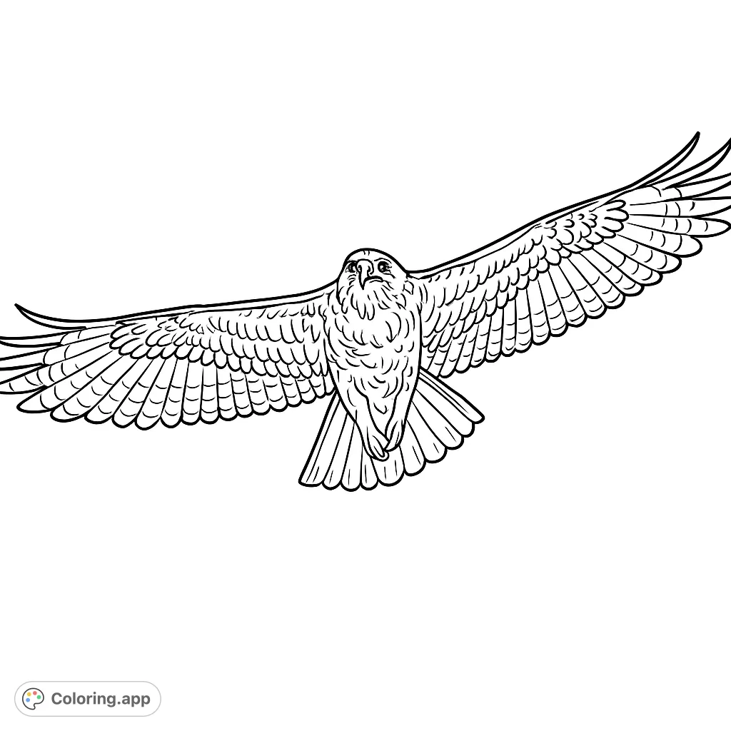 A detailed depiction of a majestic hawk soaring with outstretched wings, showcasing intricate feather patterns against an open sky.