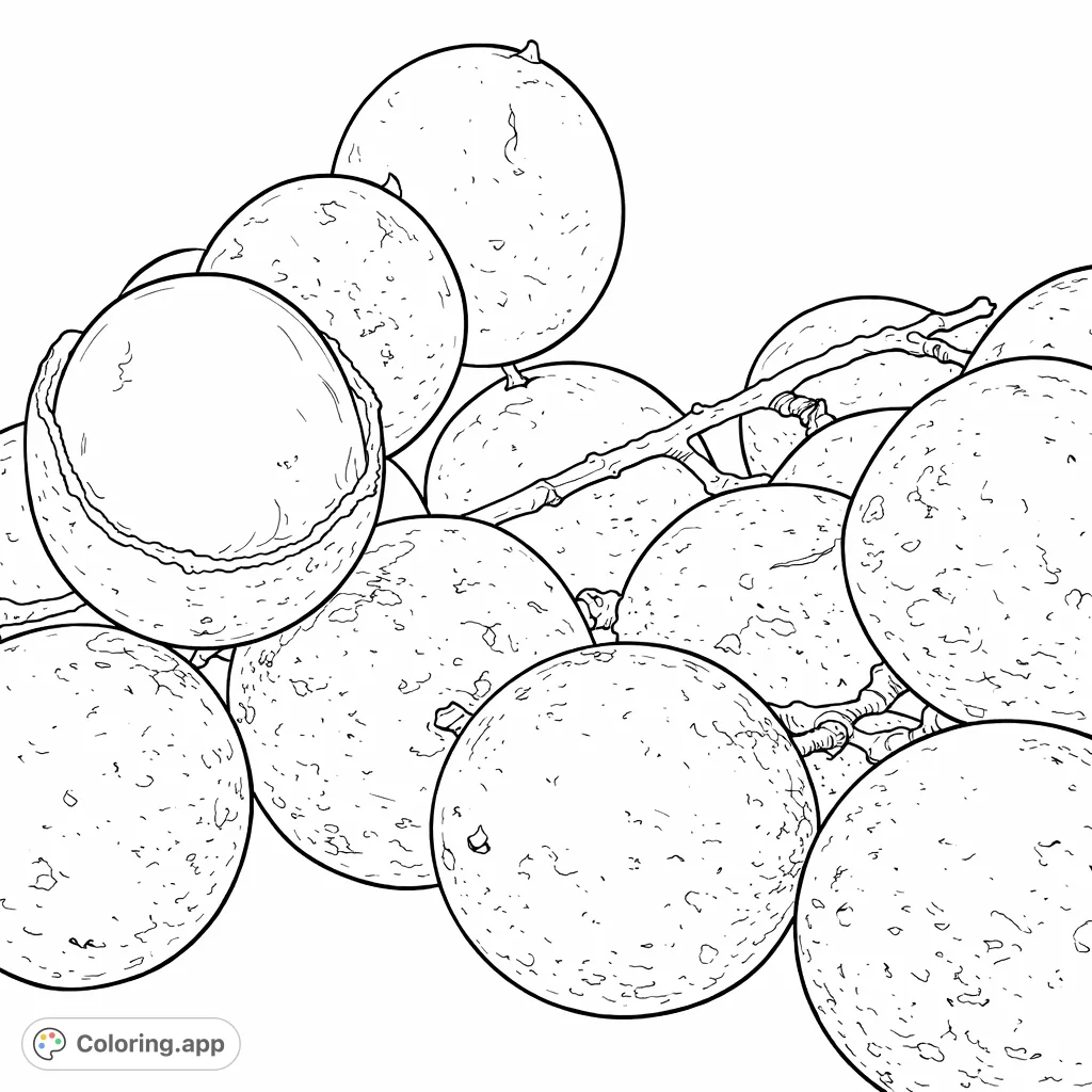 Explore a cluster of delicious tropical fruits, with one peeled to reveal its unique interior. A delightful fruit coloring page for all ages.