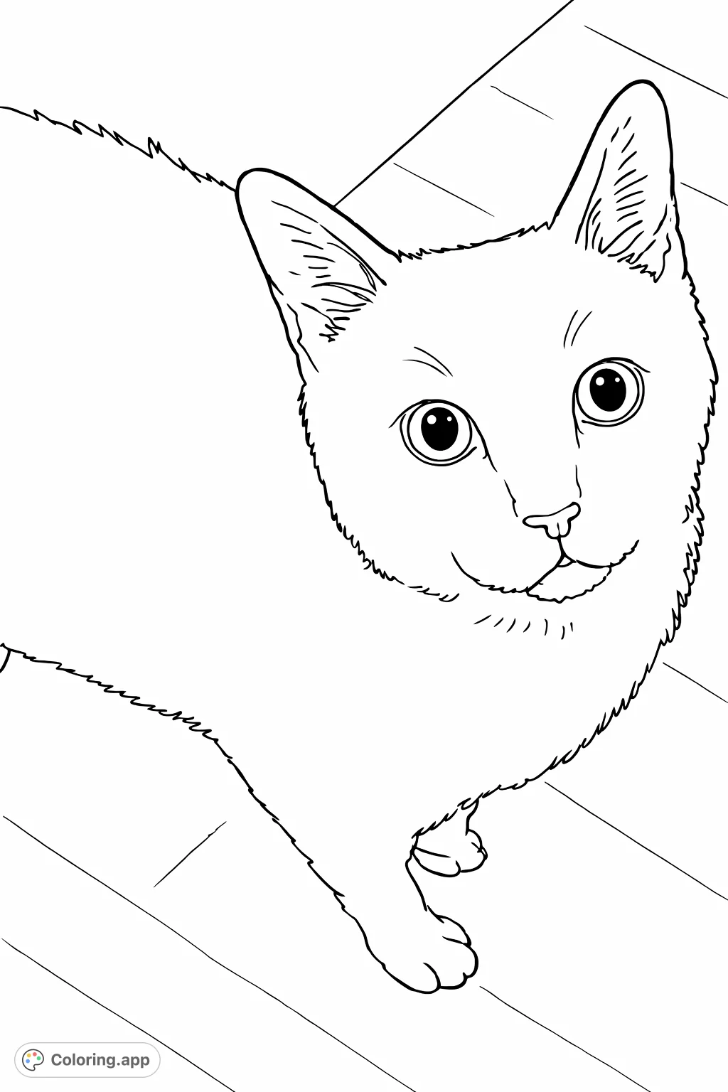 An adorable house cat with large, expressive eyes looking upwards. This charming feline coloring page is perfect for animal lovers of all ages.