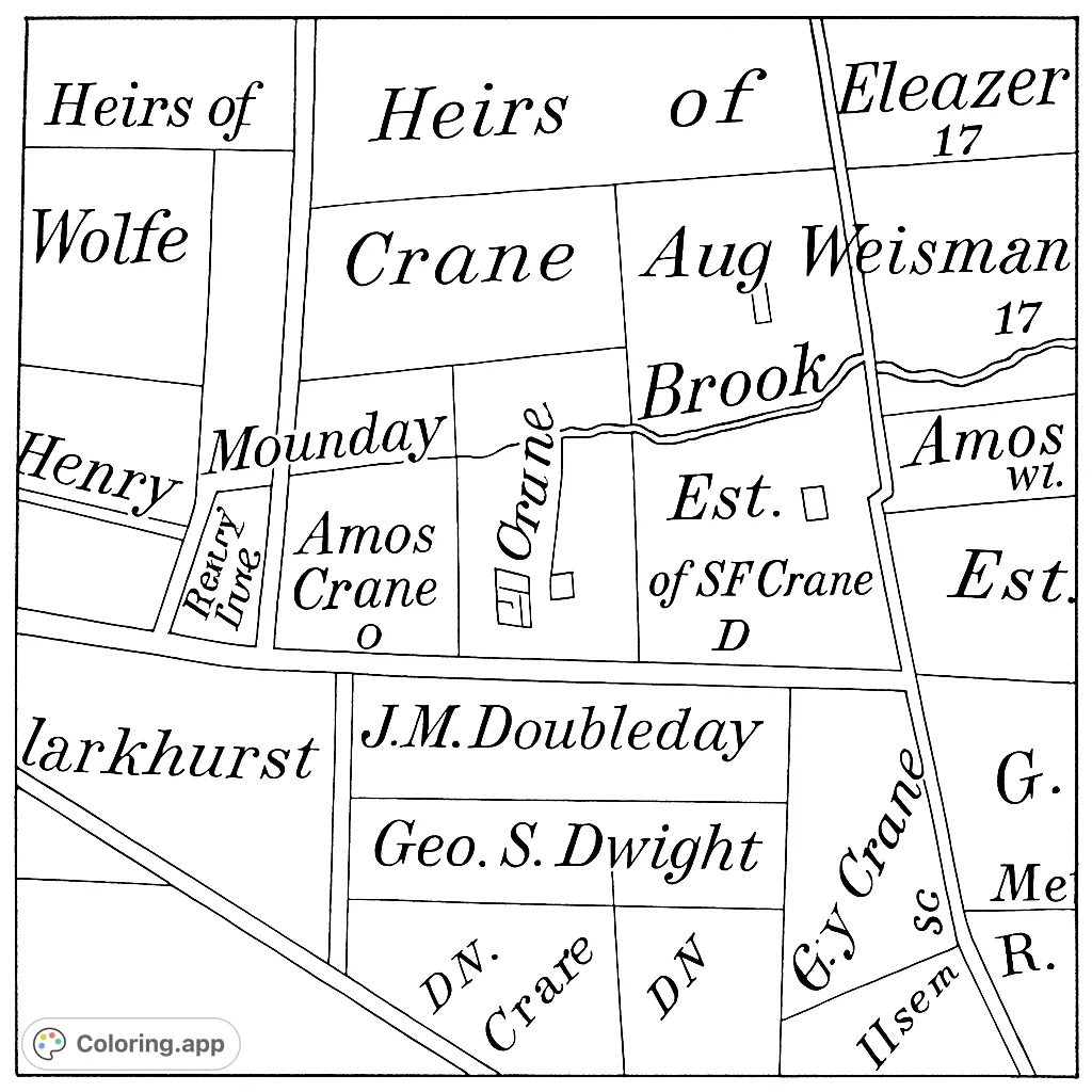 Explore a detailed vintage map featuring property divisions, historic names, and geographical markers. A realistic and challenging coloring page for history buffs.