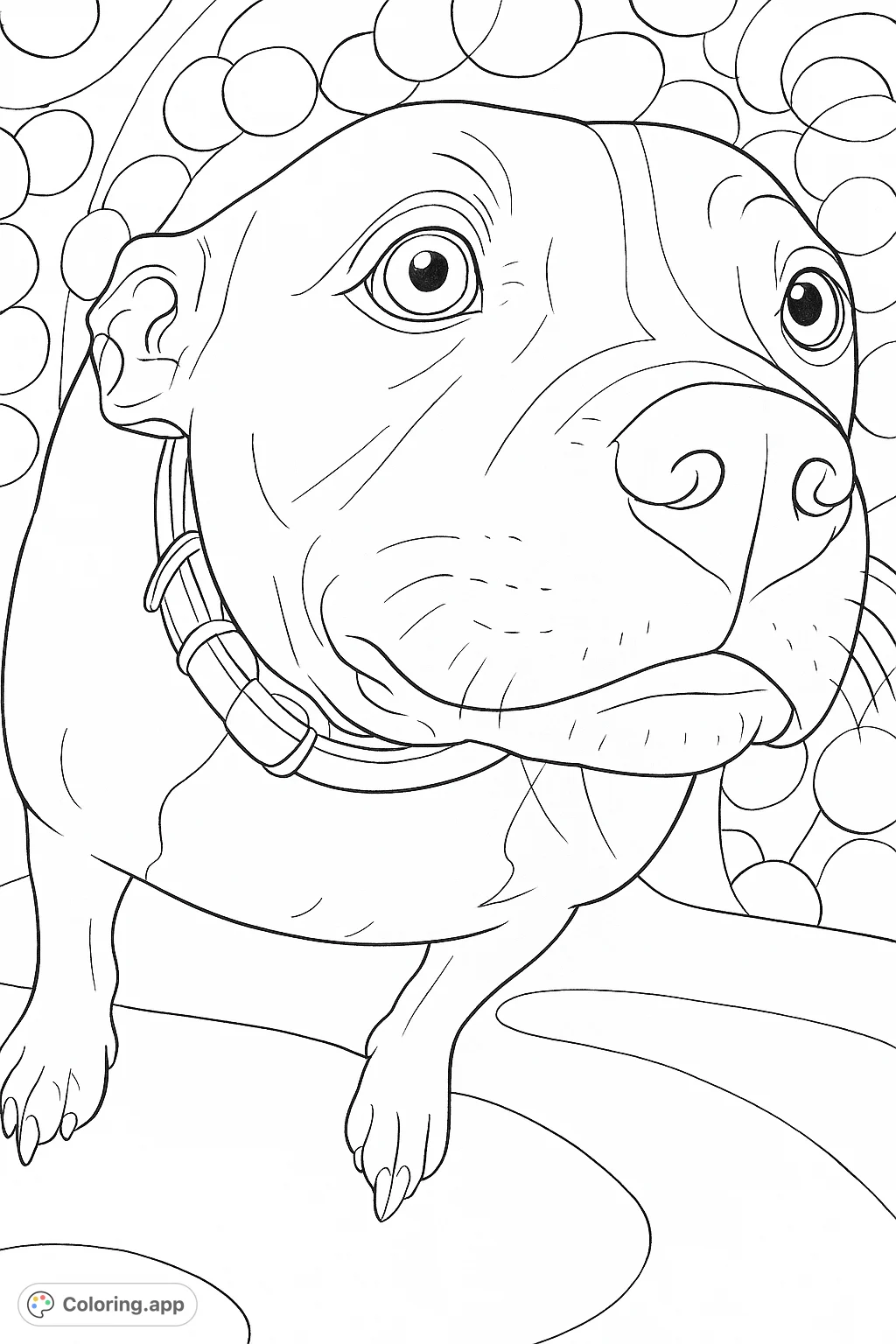 A charming Pit Bull type dog with an inquisitive gaze, perfect for dog lovers. This free printable animal coloring page offers a delightful canine portrait.