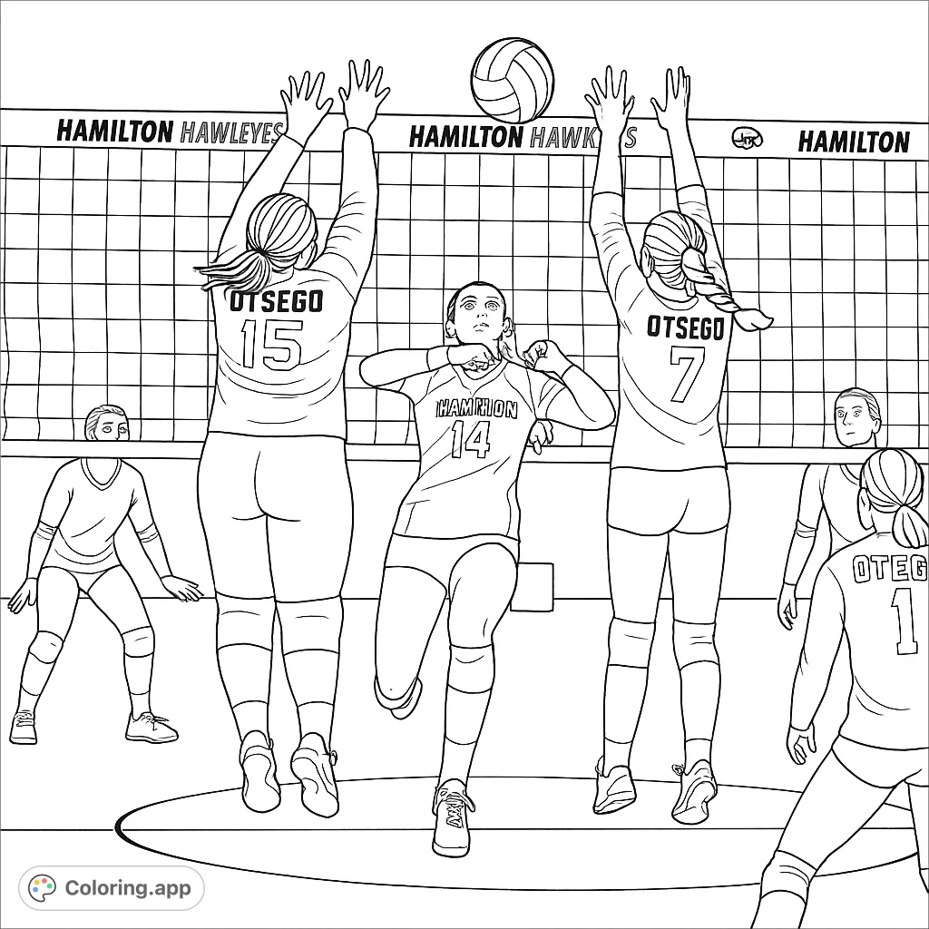 Capture the intense action of a volleyball game with players jumping to block at the net. A dynamic sports scene ready for your creative touch.