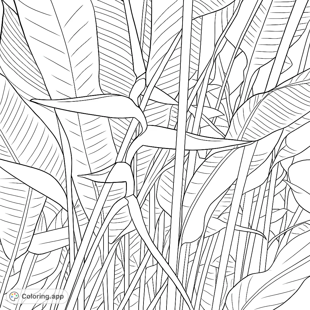 Discover a stunning Heliconia tropical garden coloring page. Features exotic beak-like flowers amidst lush, broad leaves. A detailed nature scene.