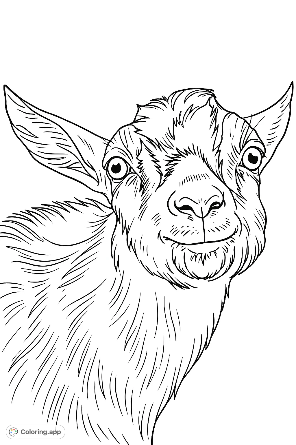 An adorable close-up of a curious baby goat with large ears and expressive eyes. This charming farm animal coloring page is perfect for all ages.