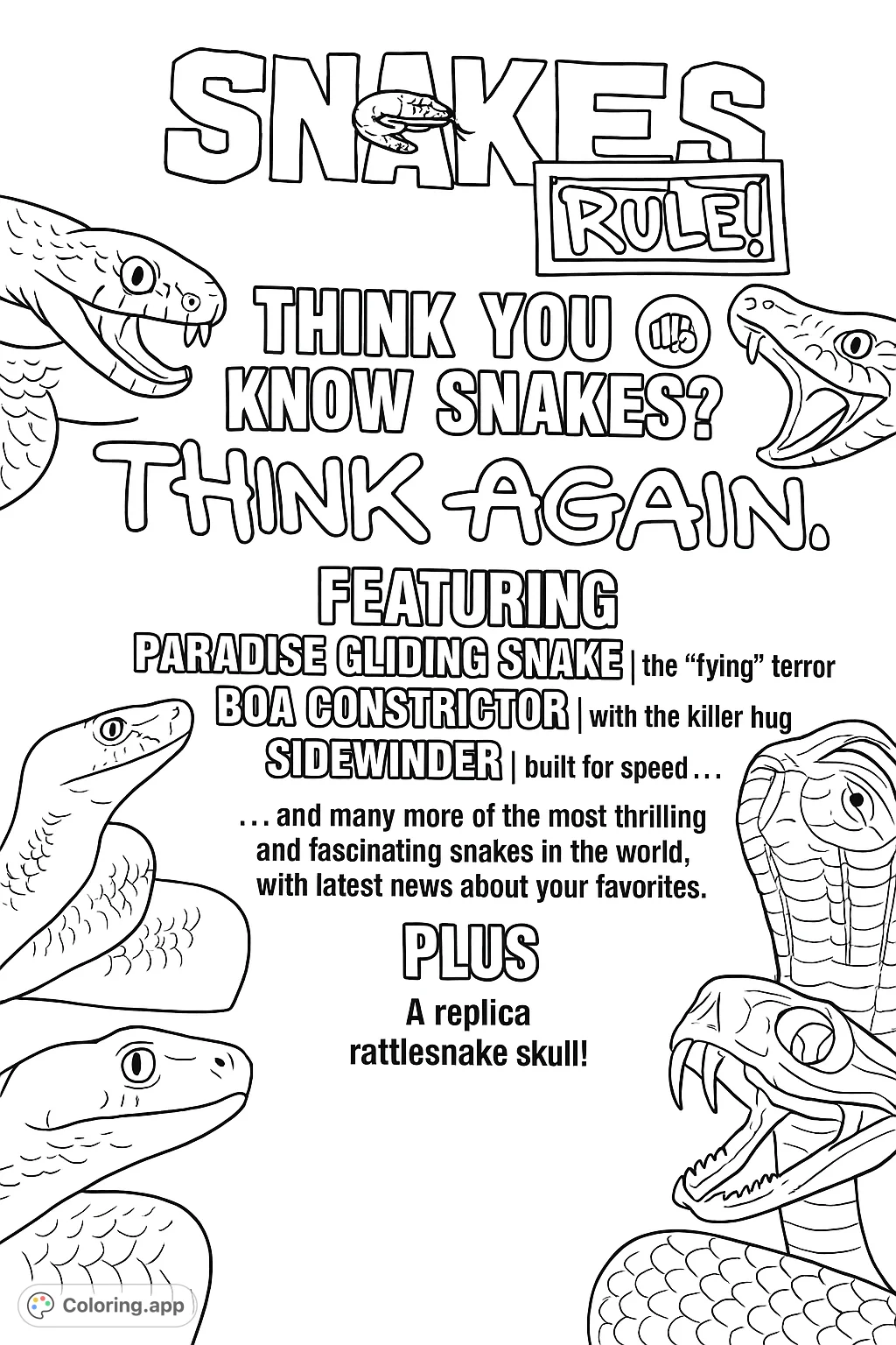 Unleash your creativity on this intricate snake coloring page featuring five distinct reptiles in various poses and expressions. Perfect for nature enthusiasts.