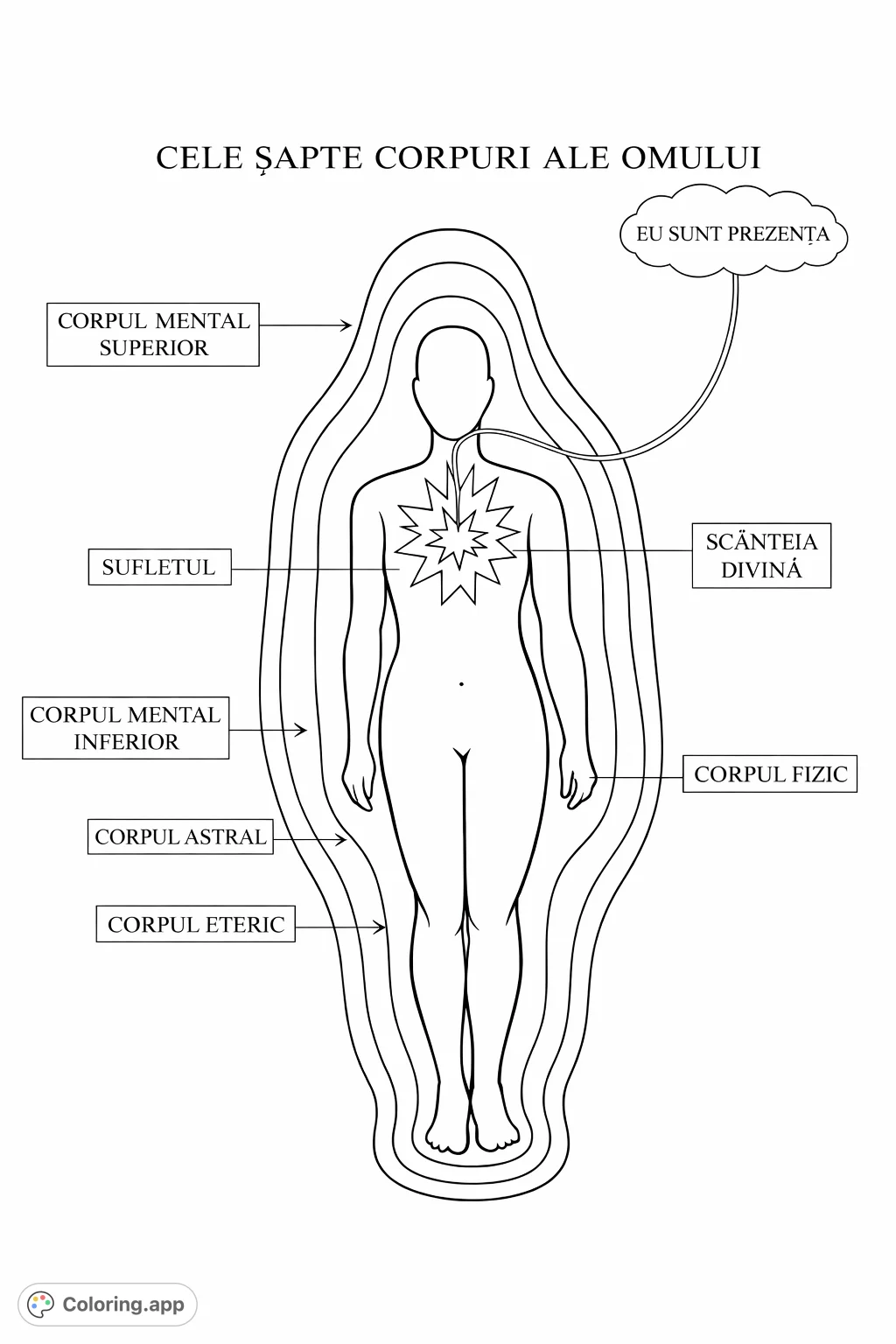 Explore the intricate human energetic layers and internal starburst in this meditative coloring page. Perfect for spiritual and anatomical study.