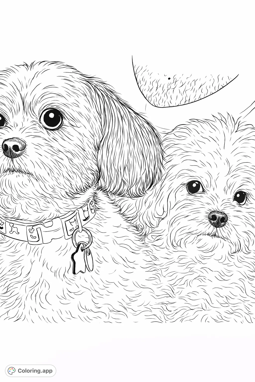 Discover this heartwarming coloring page featuring two adorable, fluffy companion dogs. Perfect for animal lovers of all ages, offering a delightful scene to bring to life.