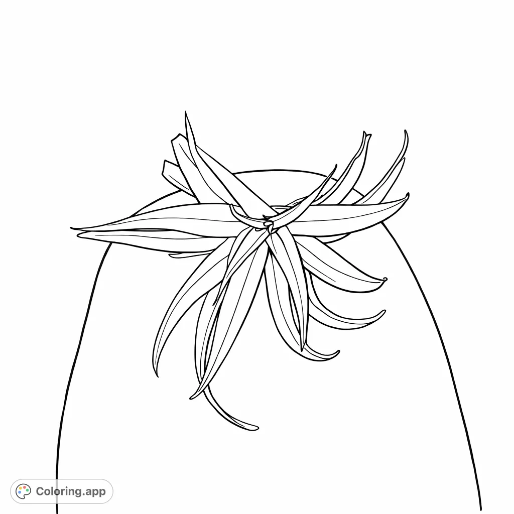 Discover an elegant air plant with radiating, textured leaves resting on a woven fabric. A unique botanical coloring page for all ages.