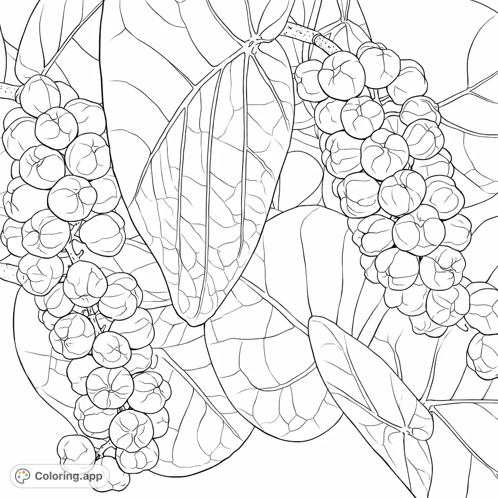 A detailed depiction of sea grape clusters with large, veined leaves, offering a tropical nature scene for creative coloring and relaxation.