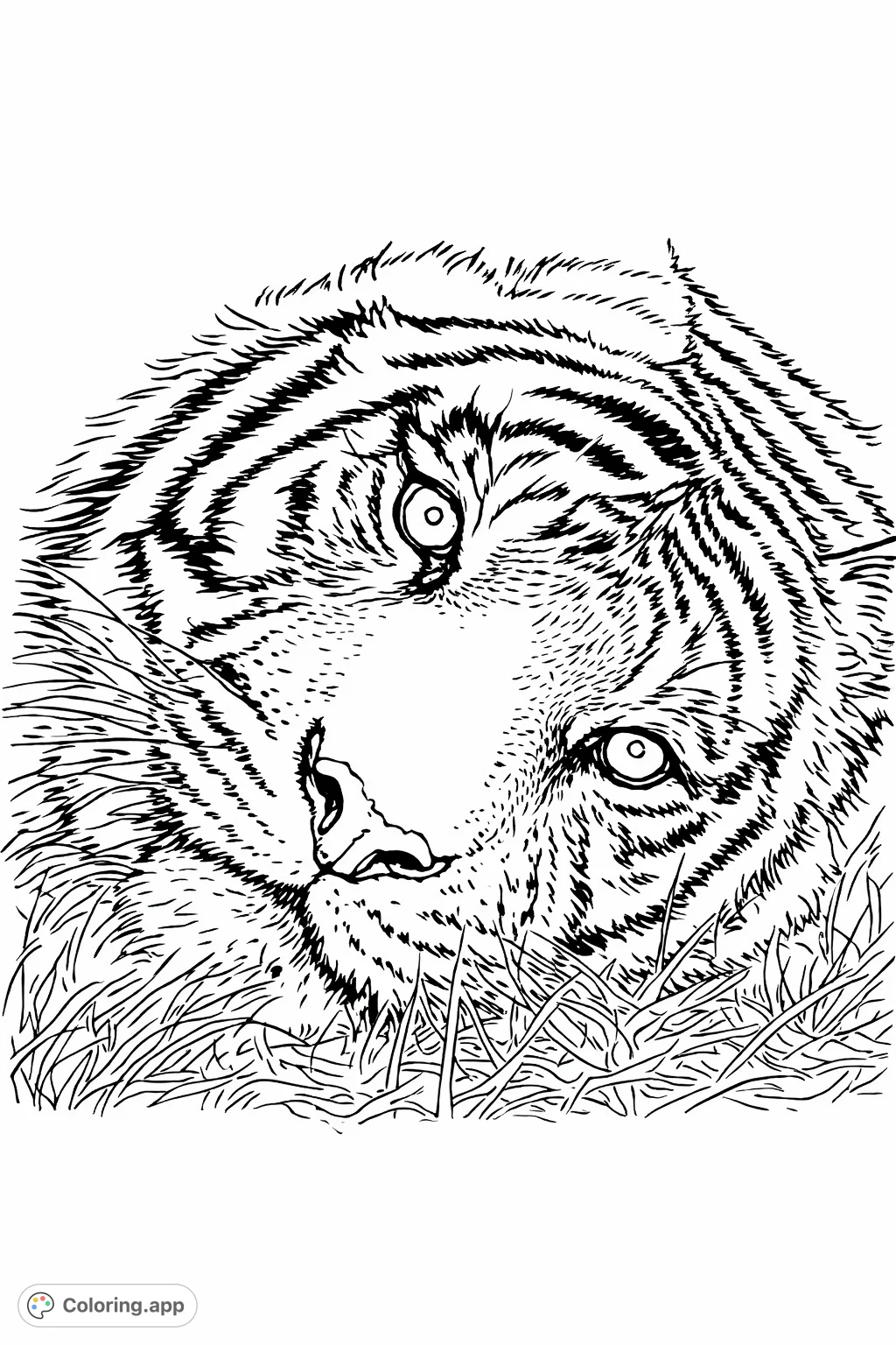 A captivating tiger portrait coloring page featuring a detailed close-up of its face, expressive eyes, and intricate stripe patterns, perfect for a challenging creative escape.