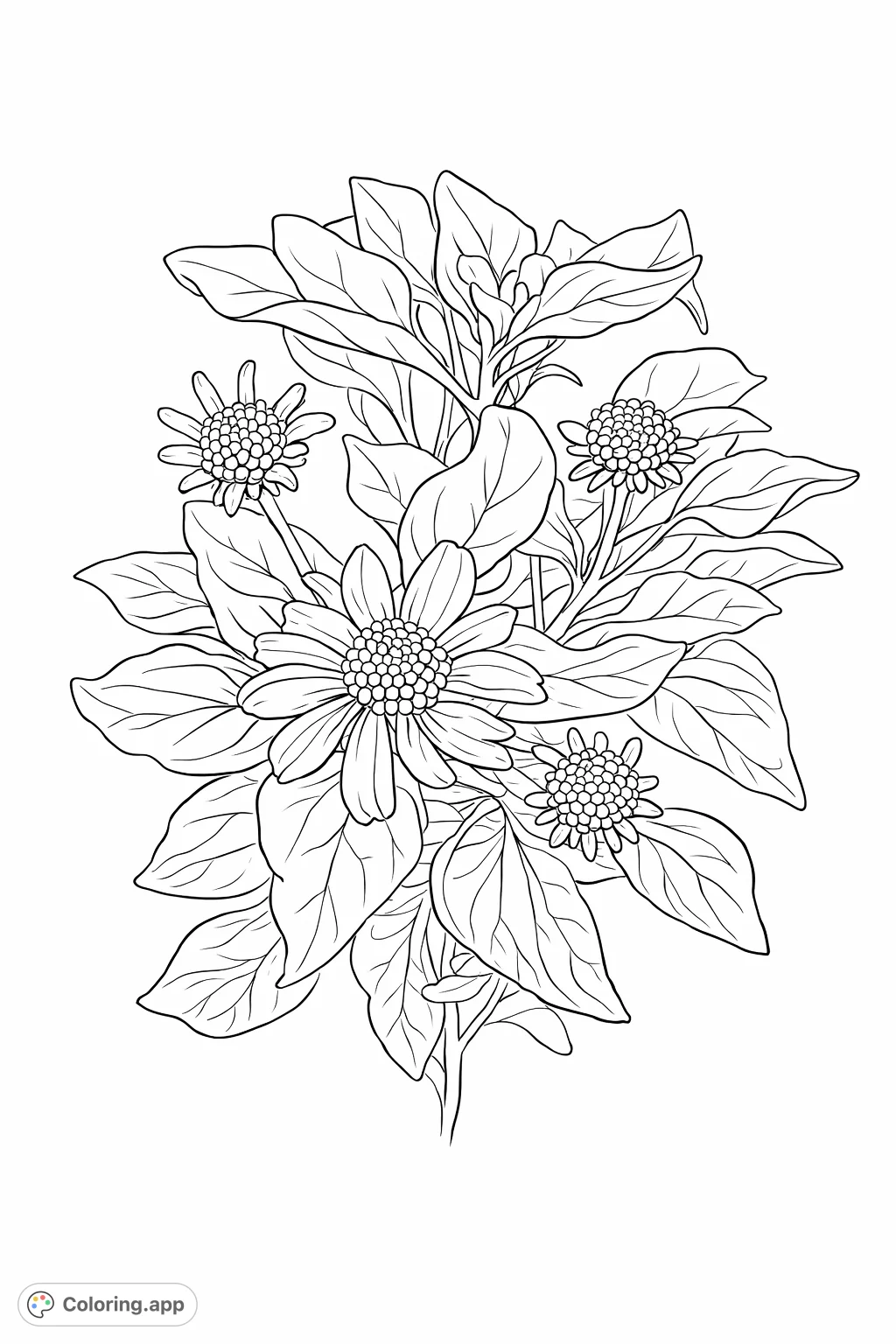 Explore the intricate details of a blossoming plant with broad, velvety leaves and multiple flowers in various stages of opening. A captivating nature scene for coloring.