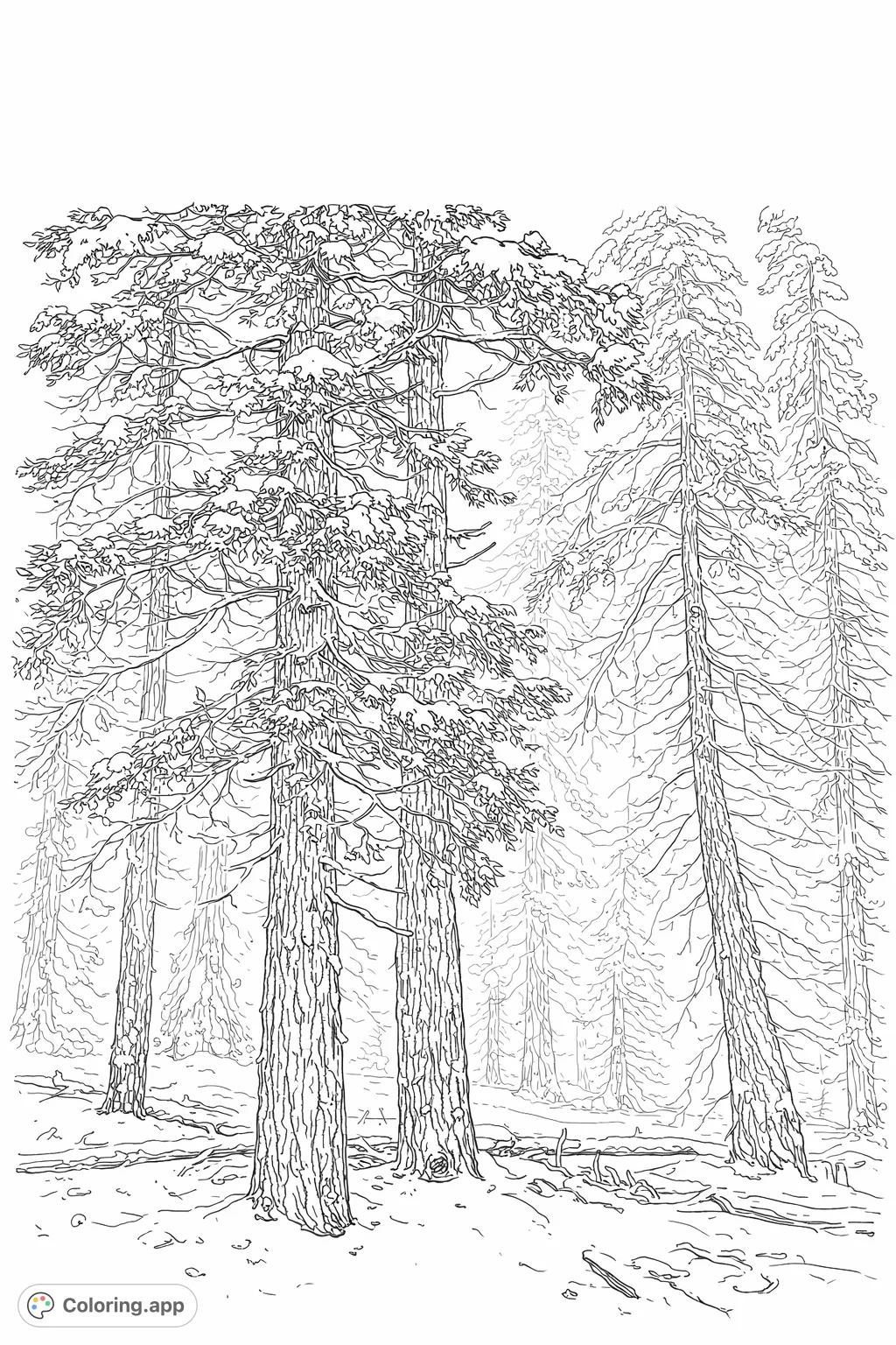 Explore a highly detailed winter forest, featuring majestic snow-covered trees and a misty background. A perfect nature scene for intricate coloring and relaxation.