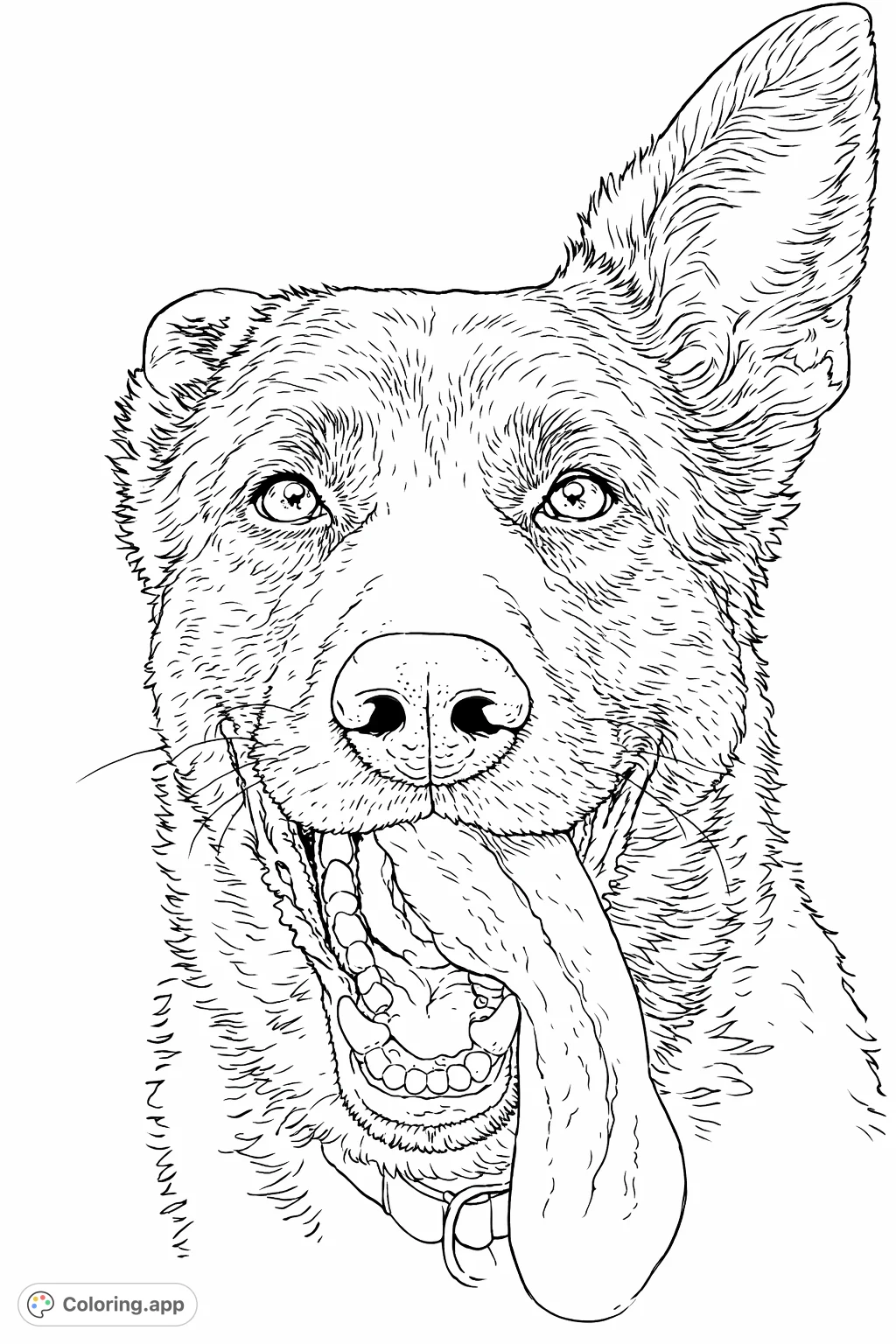 Capture the lively spirit of a dog with this detailed coloring page. Features an expressive close-up, open mouth, and textured tongue. Perfect for pet lovers.