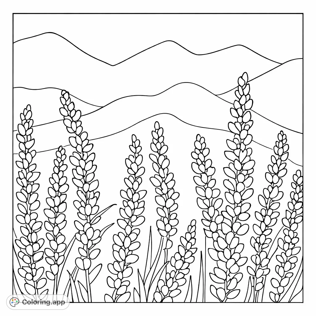 Immerse yourself in a serene lavender field with rolling hills and distant mountains. Perfect for detailed coloring and relaxation.