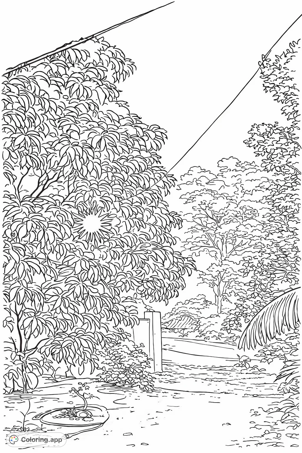 A serene nature coloring page featuring a grand tree with a sunburst peeking through its leaves, a winding pathway, and a lush forest backdrop.