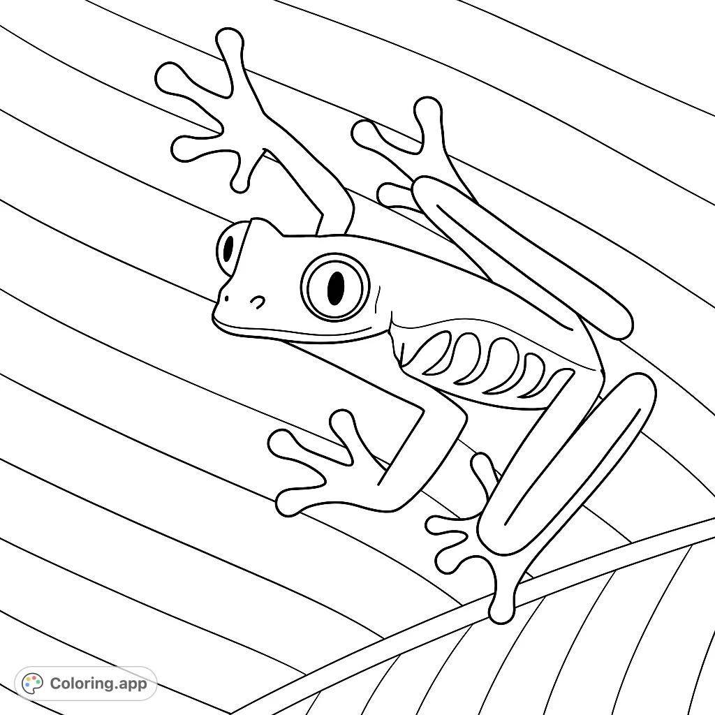 A charming tree frog coloring page, perched on a leaf with distinct patterns. Perfect for nature lovers and animal enthusiasts.