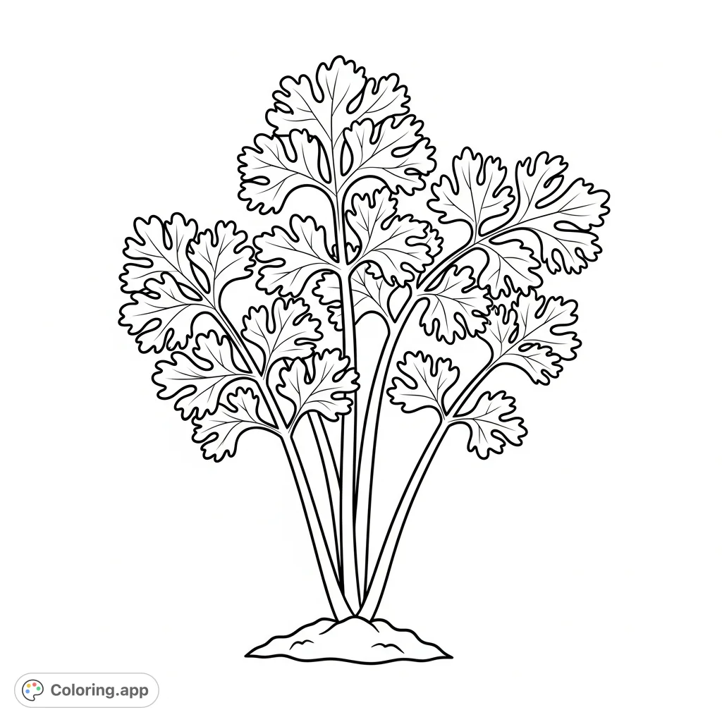 Color this fresh parsley plant, featuring its signature clustered, curly leaves and slender stems. A simple, refreshing herb coloring page for all ages.