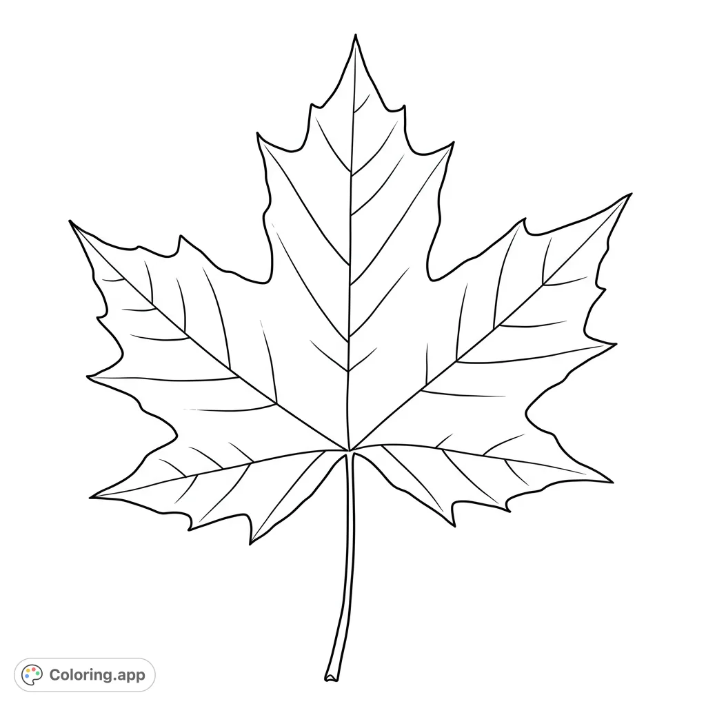 Discover the beauty of nature with this detailed maple leaf coloring page. Featuring its iconic shape and stem, it's a perfect free printable for all ages.