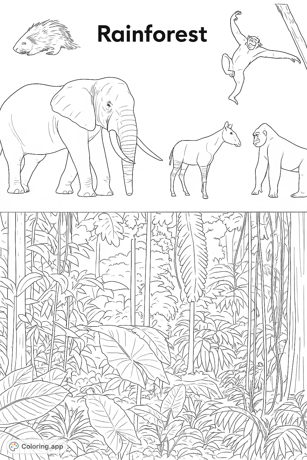 Explore the vibrant world of rainforest animals! This free printable rainforest coloring page features an elephant, okapi, gorilla, chimpanzee, and porcupine amidst lush jungle foliage.