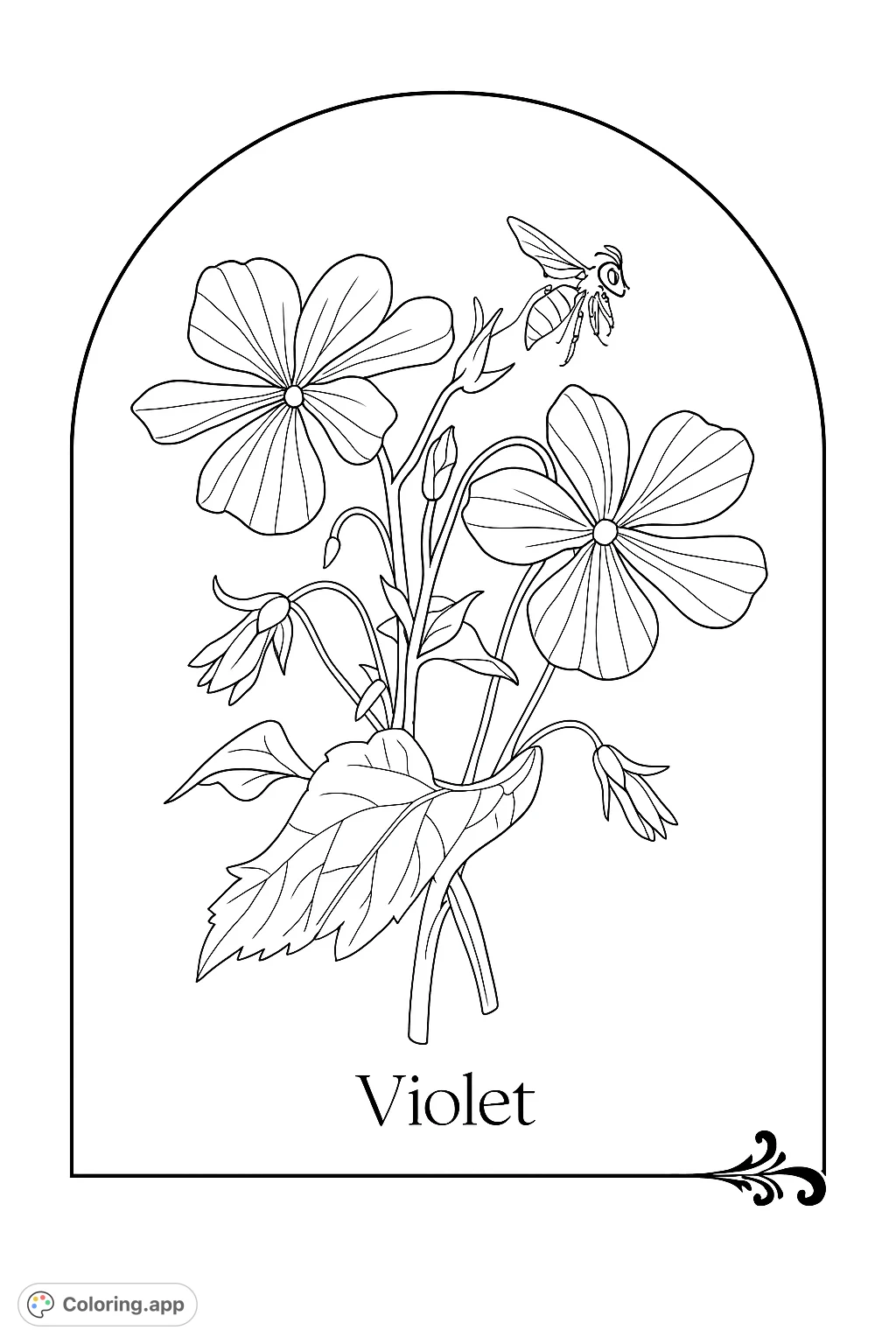 An elegant botanical violet coloring page featuring a detailed plant with flowers, leaves, and a bee, all framed within a graceful arch. Perfect for nature lovers.