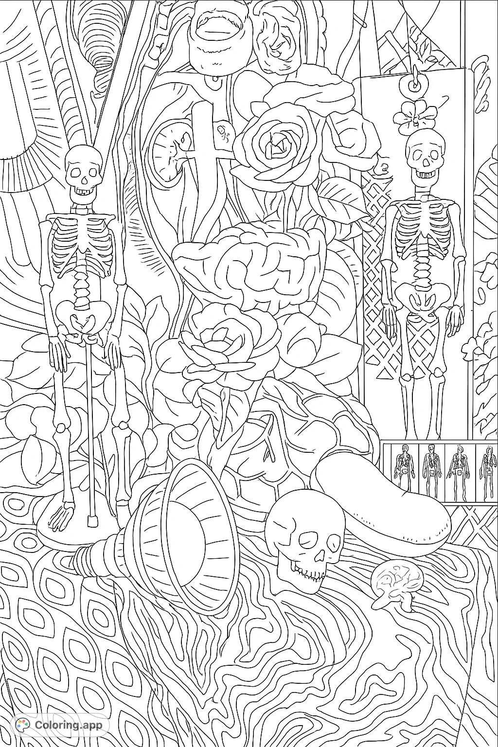 Explore a unique still life featuring skeletons, detailed anatomical models, and delicate roses. A fascinating blend of science and art awaits your creative touch.