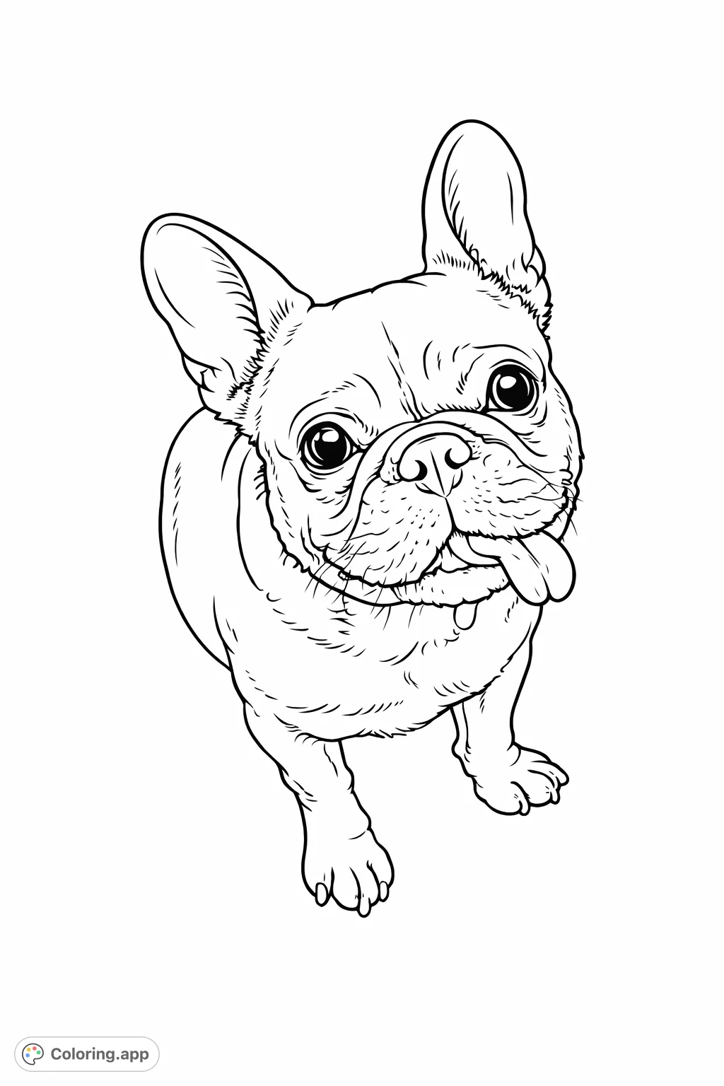 Capture the charm of a French Bulldog looking up with its signature expression and tiny tongue. A delightful pet coloring page for all ages.